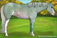 Horse Color:Watercolor Silver Brown Sabino