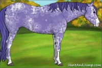 Horse Color:Watercolor Black Ice Sabino Rabicano 