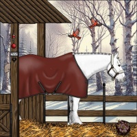 Horse Color:Gray Chestnut