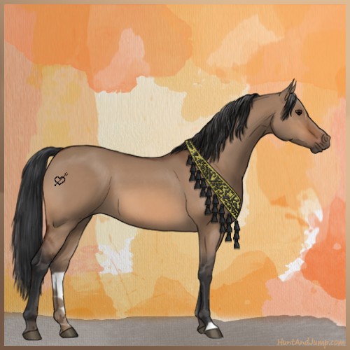 Horse Color:Brown Dun 