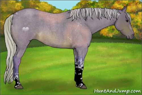 Horse Color:Watercolor Silver Brown Roan Tobiano 