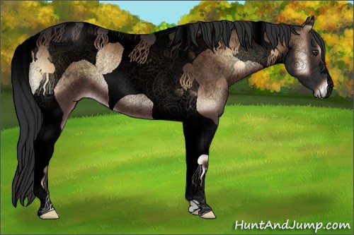 Horse Color:Void Liver Red Onyx Tobiano Rabicano 