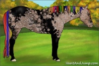 Horse Color:Void Painted Chestnut Ice Tobiano Appaloosa Rabicano 