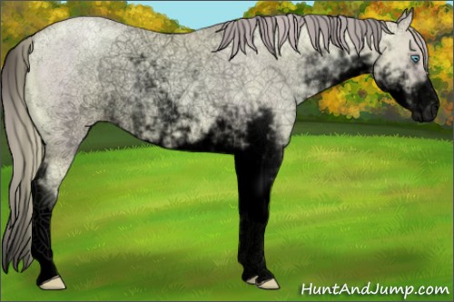 Horse Color:Void Watercolor Gold Champagne Pearl Sabino Rabicano 