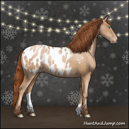 Horse Color:Buckskin Pearl Appaloosa Rabicano 