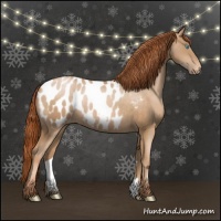 Horse Color:Buckskin Pearl Appaloosa Rabicano 