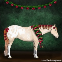 Horse Color:Sable Cream Champagne Pearl Appaloosa 