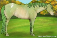 Horse Color:Watercolor Brown Pearl Appaloosa Rabicano 