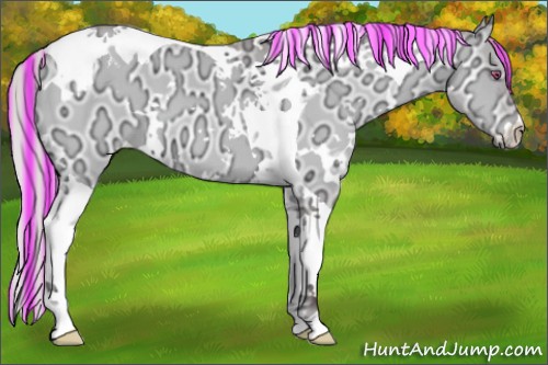 Horse Color:Painted White Spotted Chocolate Silver Brown Chinchilla Ice Onyx Tobiano 