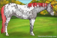 Horse Color:Painted Chocolate Silver Blue Onyx Chinchilla Ice Tobiano Appaloosa 