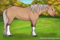 Horse Color:Silver Brown Dun 