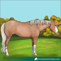 Horse Color:Silver Brown Pearl 