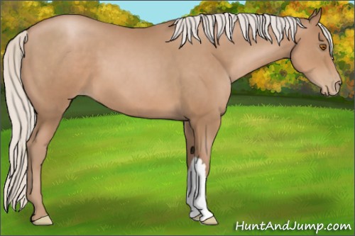 Horse Color:Silver Black Pearl