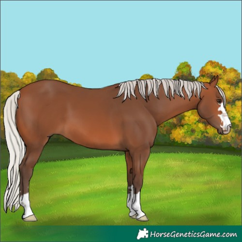 Horse Color:Silver Brown 
