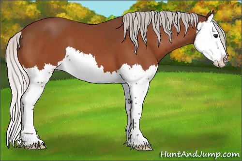 Horse Color:Silver Brown Splash 