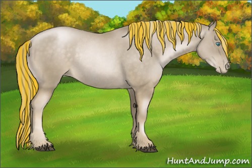 Horse Color:Painted Chocolate Palomino Pearl Rabicano