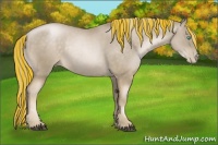 Horse Color:Painted Chocolate Palomino Pearl Rabicano