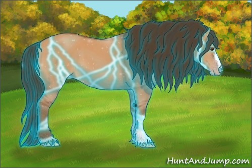 Horse Color:Thunderstruck Classic Champagne Dun 