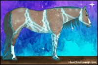 Horse Color:Thunderstruck Liver Red Dun