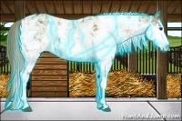 Horse Color:Thunderstruck Liver Red Dun Sabino 