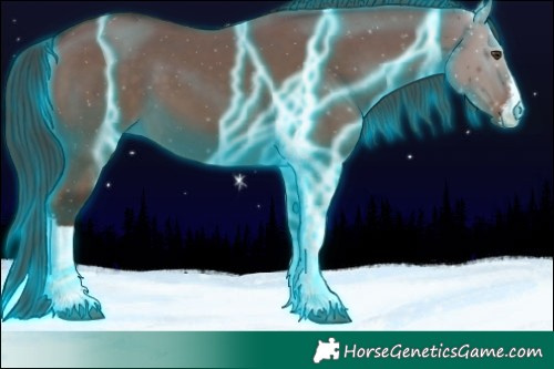 Horse Color:Thunderstruck White Spotted Liver Red Dun 