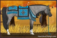 Horse Color:Grullo Roan