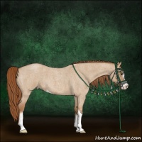 Horse Color:Red Dun Roan Sabino