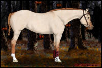 Horse Color:Red Dun Roan