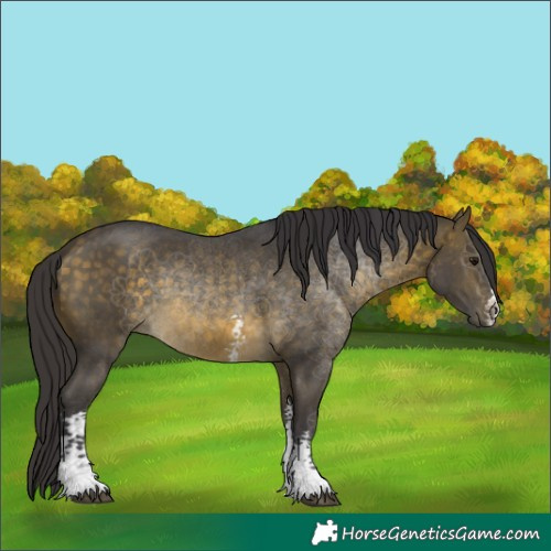 Horse Color:Buckskin Mushroom Sabino 