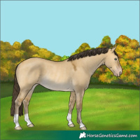 Horse Color:Sable Cream Champagne Dun Mushroom Rabicano 