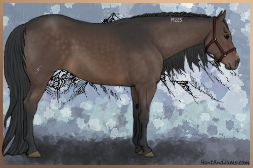 Horse Color:Brown 