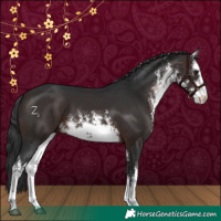 Horse Color:White Spotted Brown 