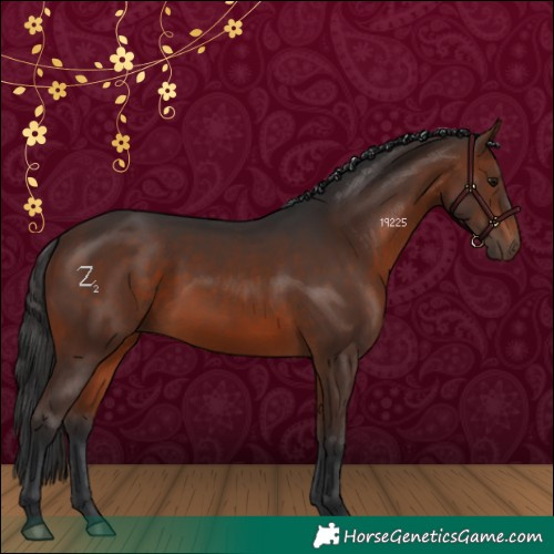 Horse Color:Brown 