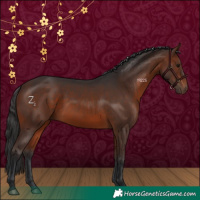 Horse Color:Brown 