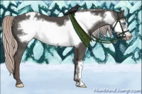 Horse Color:Silver Black Frame Appaloosa 