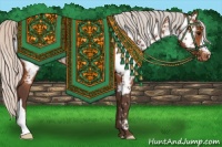 Horse Color:Silver Bay Appaloosa 
