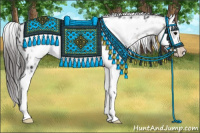 Horse Color:Black Splash Frame Appaloosa