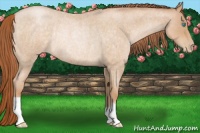 Horse Color:Buckskin Roan Pearl Rabicano