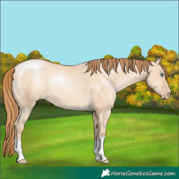 Horse Color:Smoky Grullo Pearl 