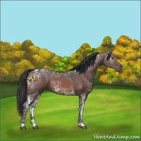 Horse Color:Brown Ice 
