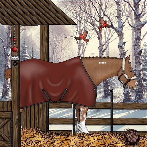 Horse Color:Chestnut  and Chestnut 