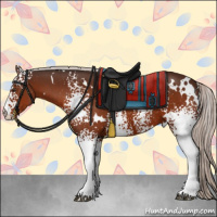 Horse Color:White Spotted Silver Brown