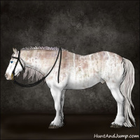 Horse Color:Nacre White Spotted Silver Black Ice Splash Rabicano  and Plaid  White Spotted Silver Blue Onyx Ice Splash Rabicano 