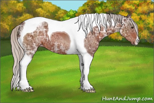 Horse Color:Silver Brown Ice Tobiano 
