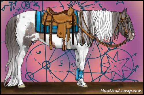 Horse Color:White Spotted Brown Tobiano Appaloosa 