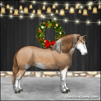 Horse Color:Chestnut Sabino 