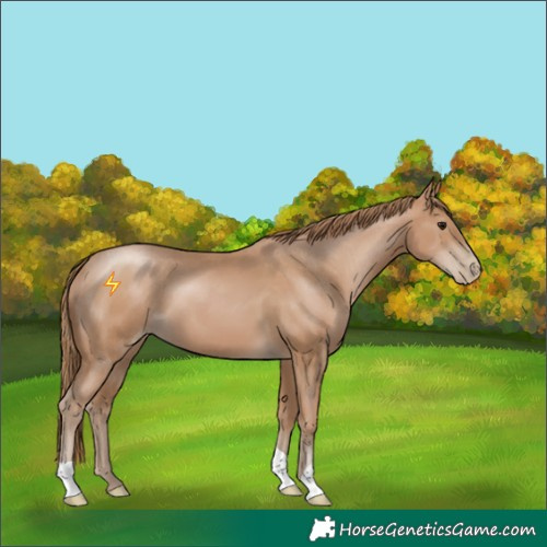 Horse Color:Black Pearl