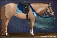 Horse Color:Liver Chestnut Pearl Tobiano 