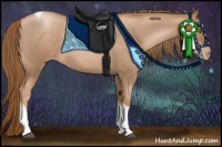 Horse Color:Liver Red Roan Pearl Tobiano