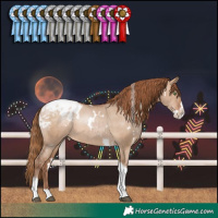 Horse Color:White Spotted Brown Pearl Dun Splash Tobiano Blanket Rabicano 